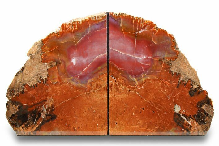 Tall, Vibrant Red Arizona Petrified Wood Bookends #258344